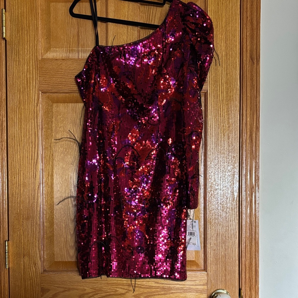 Aidan Mattox Fuchsia and Magenta Sequin One-Shoulder Dres, and feathers.